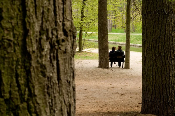 stock image Loving couple on a bench