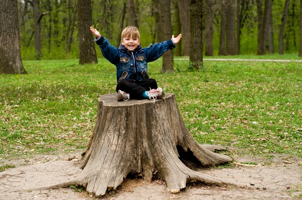 Μικρό αγόρι στο ξύλο — Φωτογραφία Αρχείου