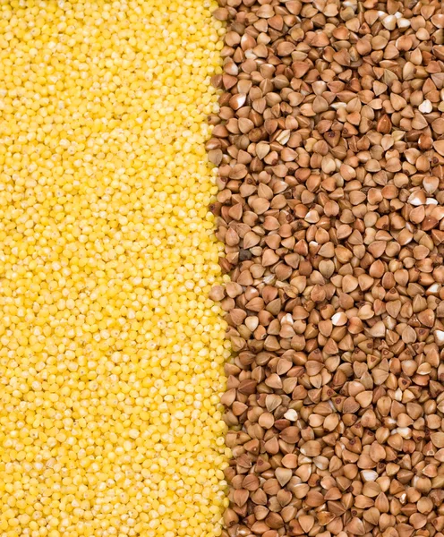Buckwheat and millet background — Zdjęcie stockowe