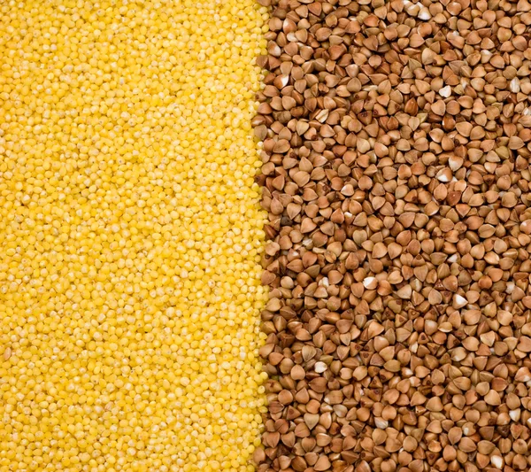 Buğday ve darı arka plan — Stok fotoğraf