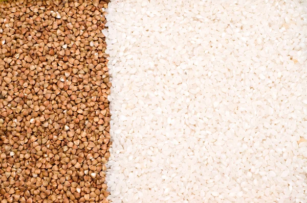荞麦和水稻的背景 — 图库照片
