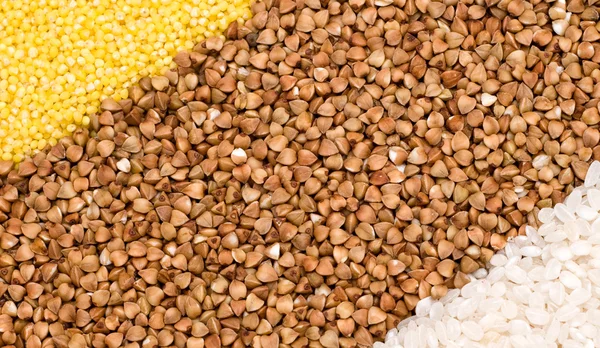 Milho, trigo sarraceno, fundo de arroz — Fotografia de Stock