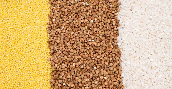 Millet, buckwheat, rice background — Stock Photo, Image