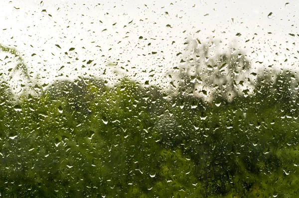 Gouttes de pluie sur verre — Photo