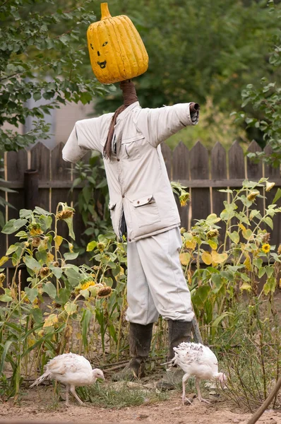 stock image Scarecrow