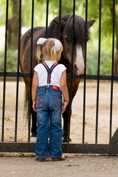 Little girl and pony — Stock Photo, Image