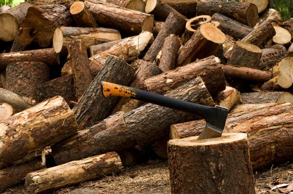 Truncate wood — Stock Photo, Image