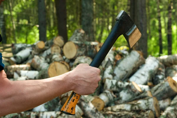 木材を切り捨てる — ストック写真