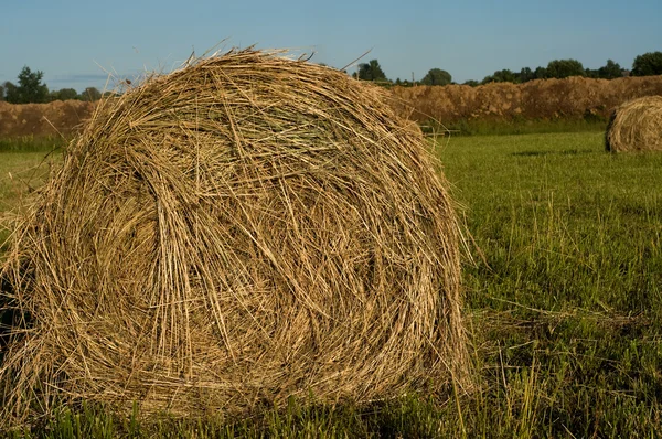 Haystack en el prado —  Fotos de Stock
