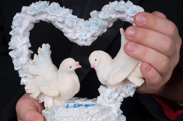 Pigeons and heart — Stock Photo, Image