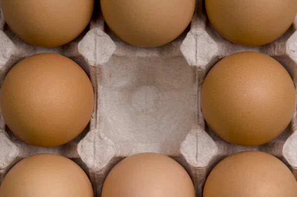 Eggs in box — Stock Photo, Image