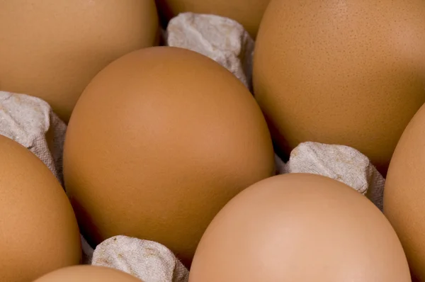 Jaja w polu — Zdjęcie stockowe