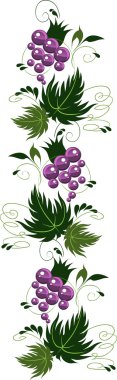 Ornament from grapes. vector clipart