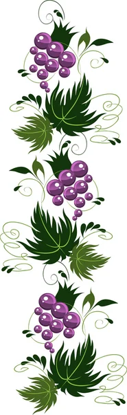 Ornament uit druiven. vector — Stockvector