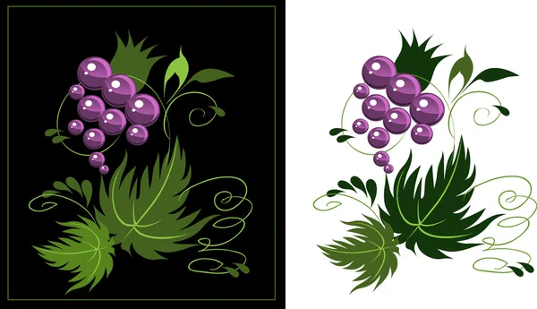 Delicate ornament from grapes — Stock Vector