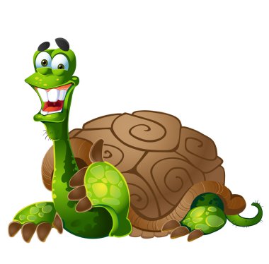 Vector turtle on white background clipart