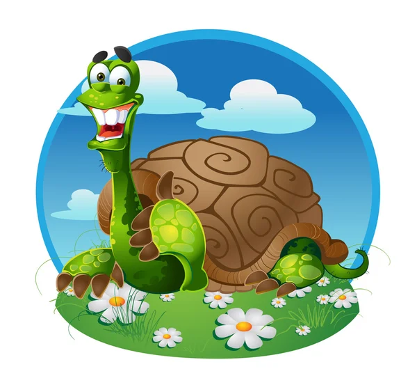 Vector turtle on color background — Stock Vector