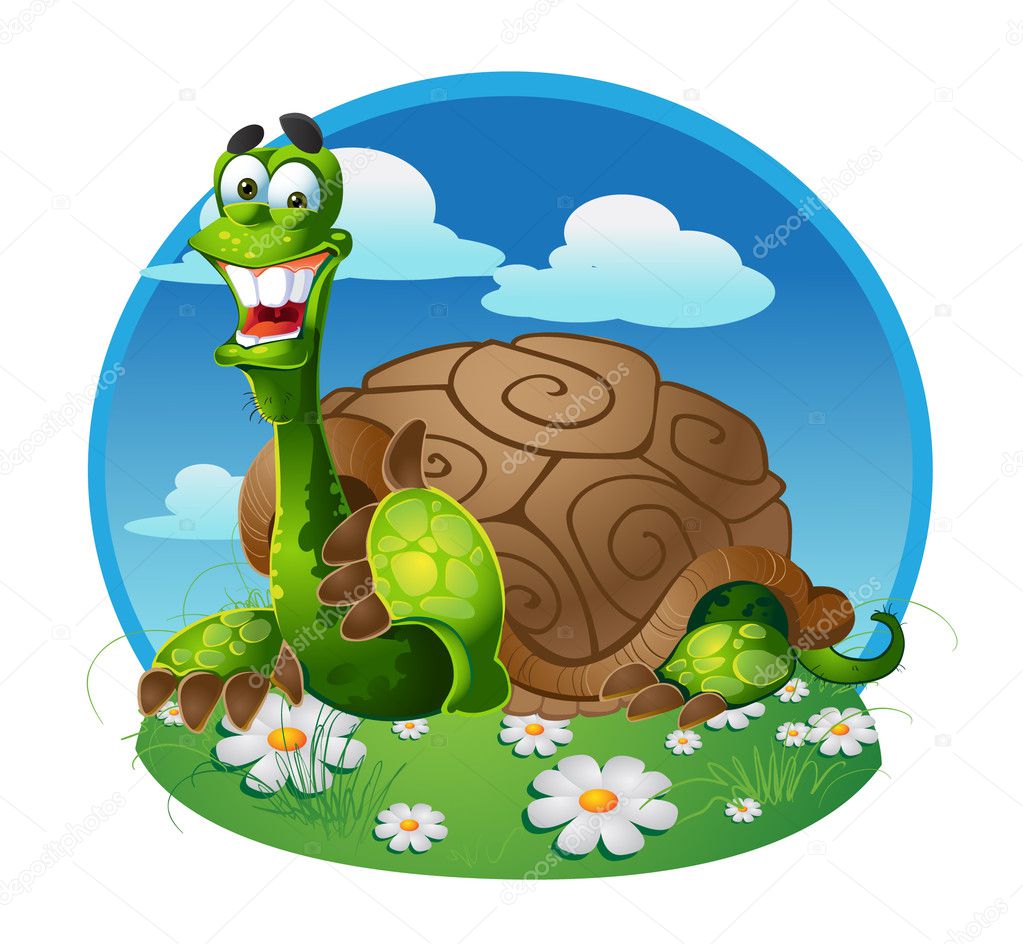 Vector turtle on color background