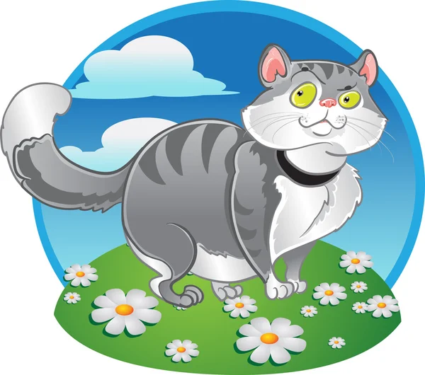 색상 배경에 회색 살 찐 고양이 — 스톡 벡터