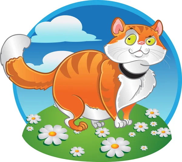 색상 배경에 오렌지 살 찐 고양이 — 스톡 벡터