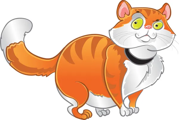 Gato graso naranja — Vector de stock