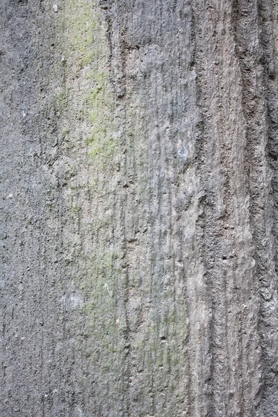 SAND BLASTED CONCRETE WITH ROUGH SURFACE - Stock Image - Everypixel