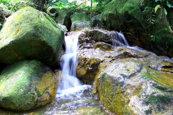 Stock image Japanese Tea Garden - Waterfall