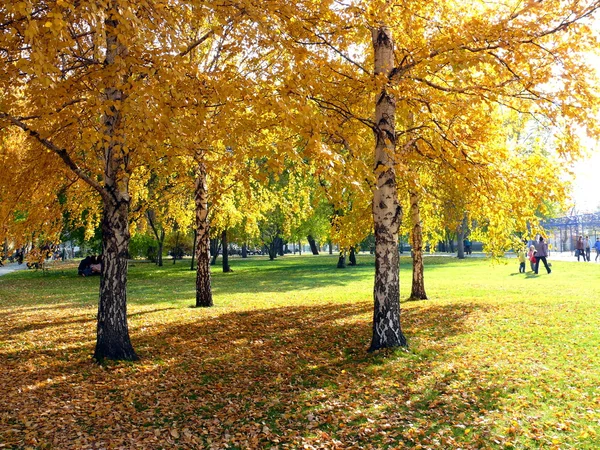 Осень в Челябинском парке — стоковое фото