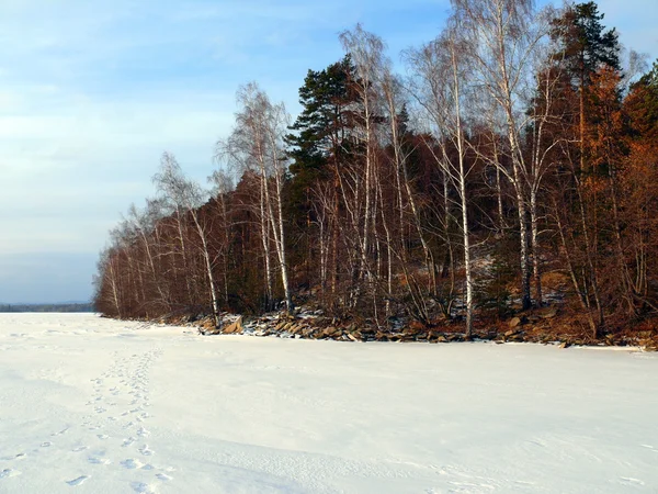 stock image Winter landscape