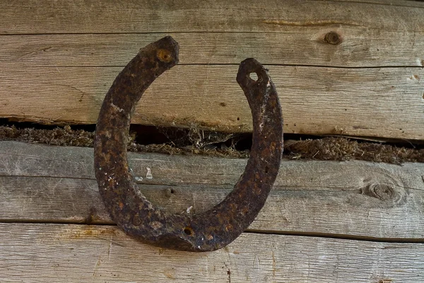 stock image Horseshoe