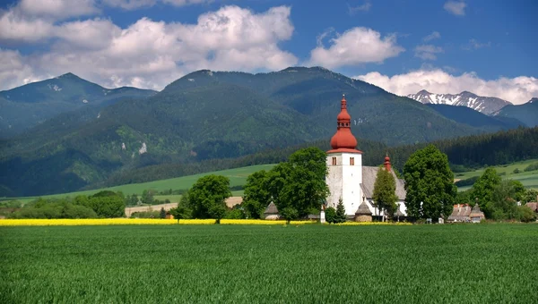 Meadow and old church — Stockfoto