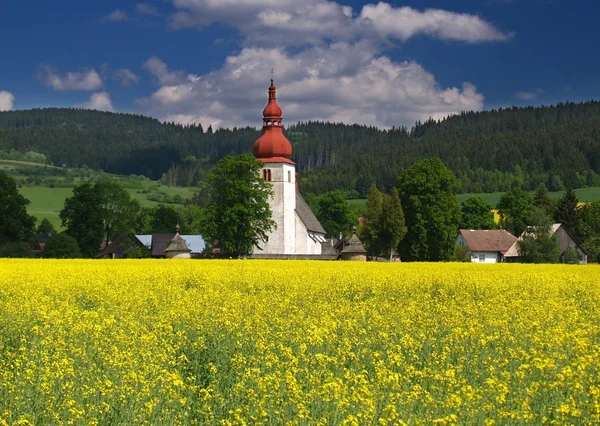 Meadow and old church — Stock Photo, Image