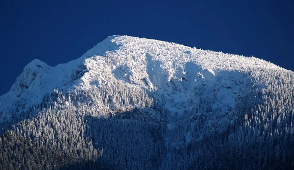 Gipfel des Mount Choc — Stockfoto