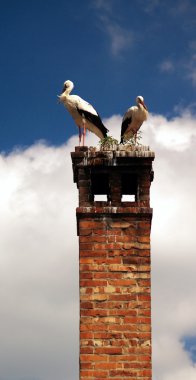 Two storks on chimney clipart