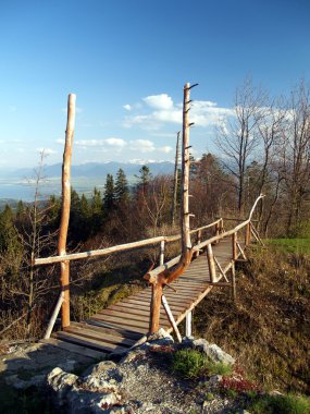 ahşap köprü