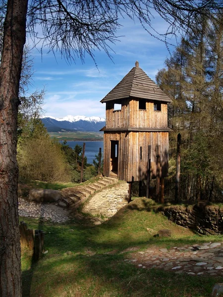Ancienne fortification en bois — Photo
