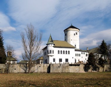 Budatin Castle, Slovakia clipart