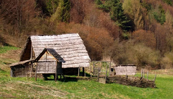 Havranok, casas de madeira — Fotografia de Stock
