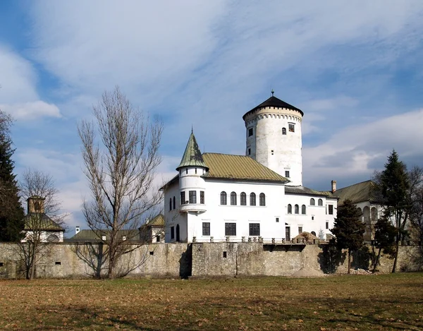 Budatin 城堡斯洛伐克 — 图库照片