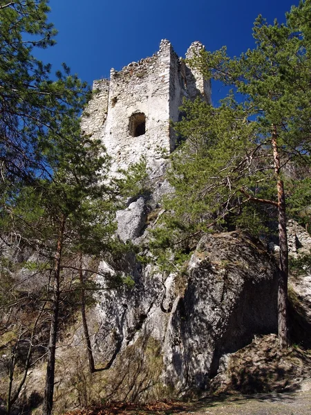 Castelo de Hricov arruinado — Fotografia de Stock