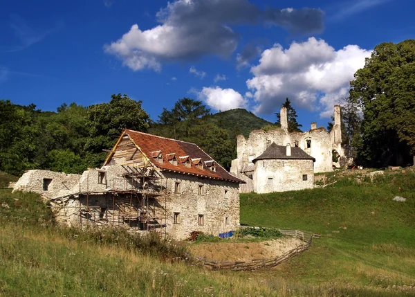 Sklabina Castle and Manor house — Stock Photo, Image