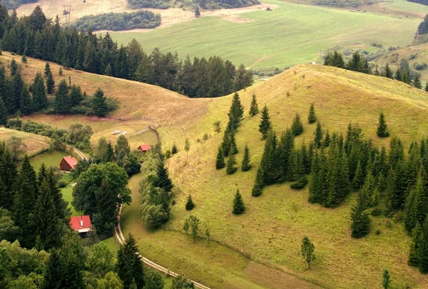Lone houses in forest — Stock Photo, Image