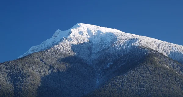 Gipfel des Mount Choc — Stockfoto