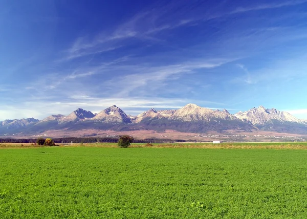Татранские горы и зеленое поле — стоковое фото