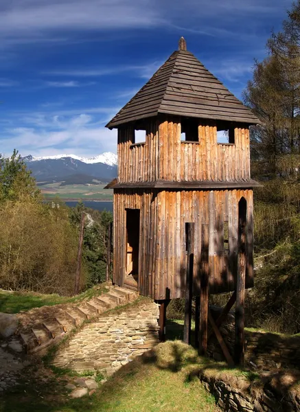 Wooden fortification — Stock Photo, Image