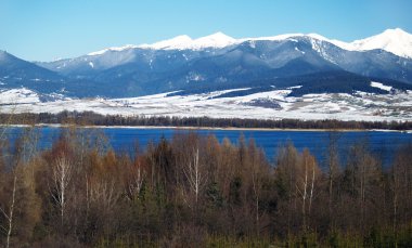 Trees, lake and mountains in winter. clipart