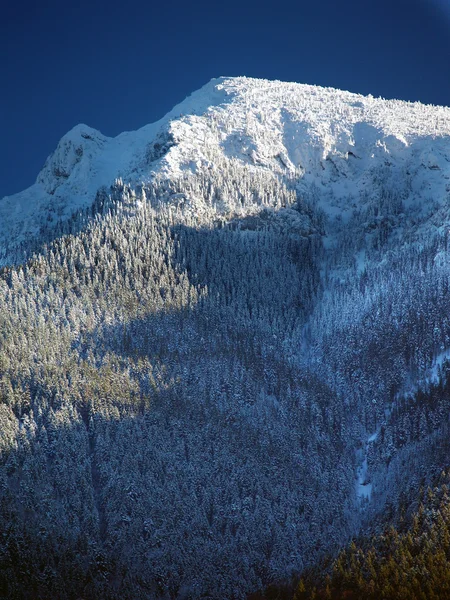 Κορυφή του βουνού choc — Φωτογραφία Αρχείου