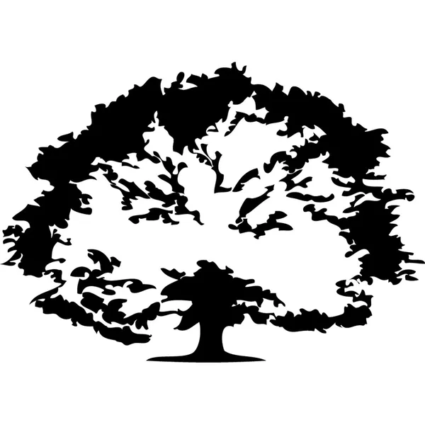 Trees.Vector зображення Стоковий вектор