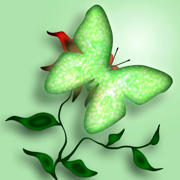 Green Butterfly — 스톡 사진