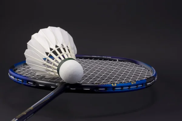 stock image Racket and shuttlecock